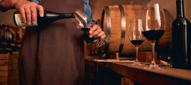 Déjeuner ou dîner dans un domaine viticole à Montecatini Terme + dégustation de vin