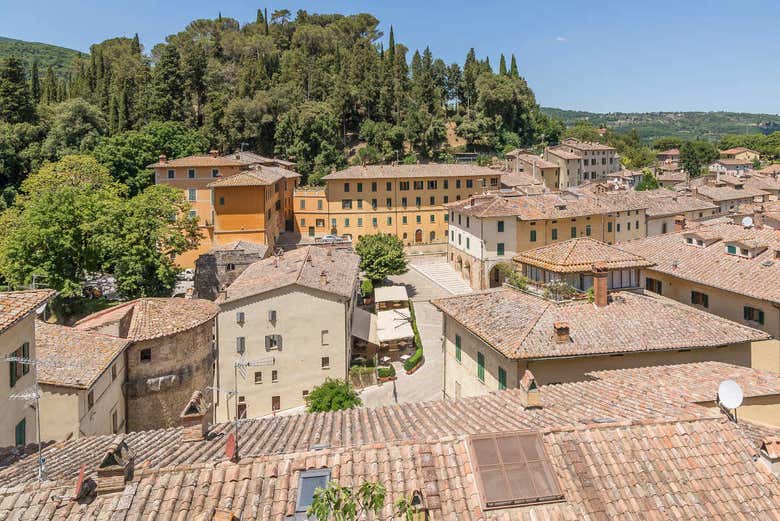 Vue sur les toits de Cetona