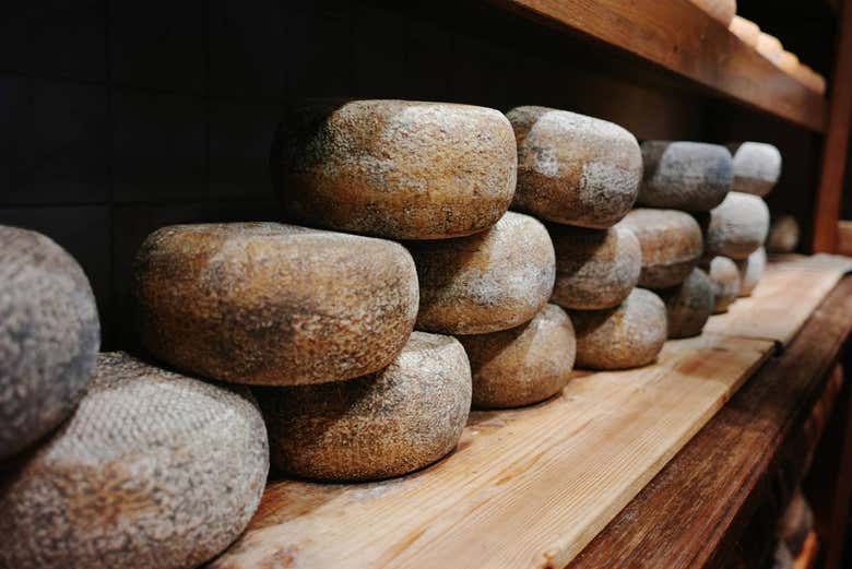 Pecorino