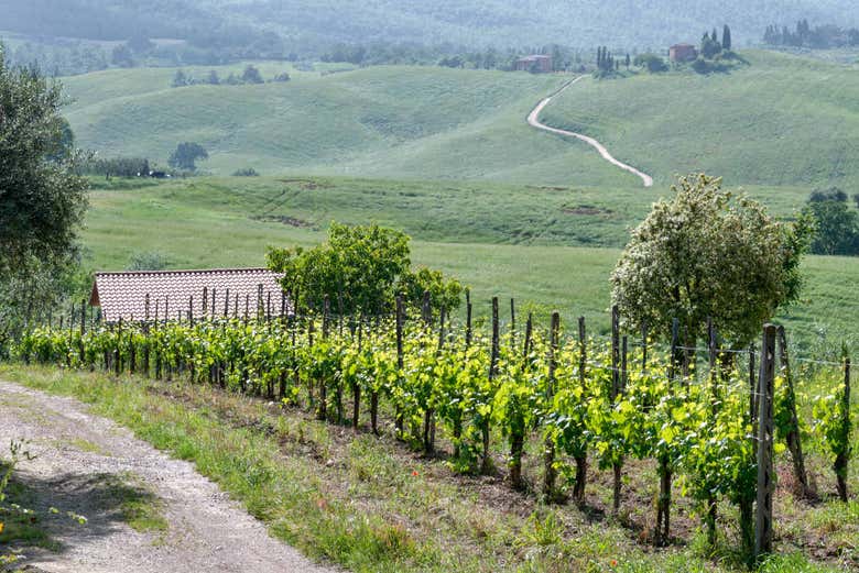 Orcia Valley