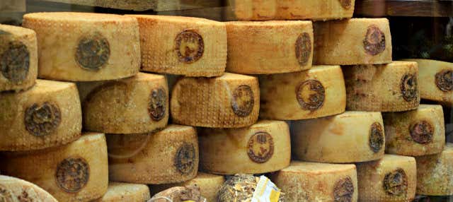 Tour del vino e del pecorino toscano