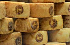 Tour del vino y el queso pecorino