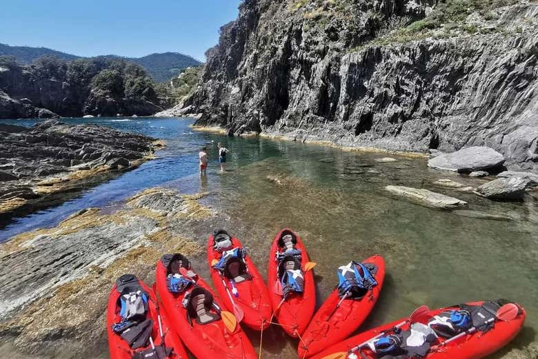 Kayaks pour l'activité