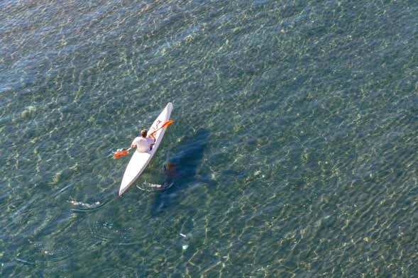 Tour en kayak por Cinque Terre