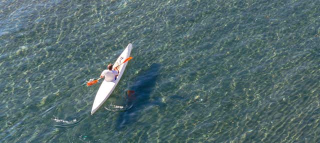 Tour en kayak por Cinque Terre