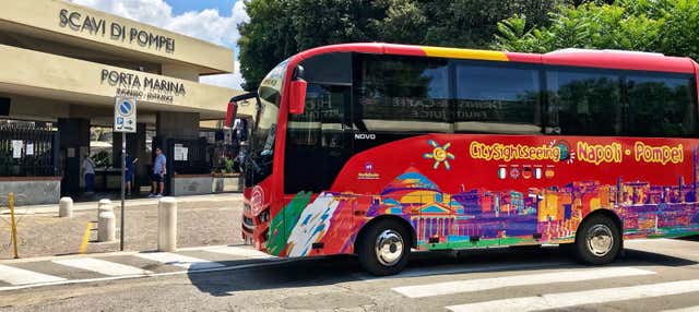 Sightseeing Bus to Pompeii