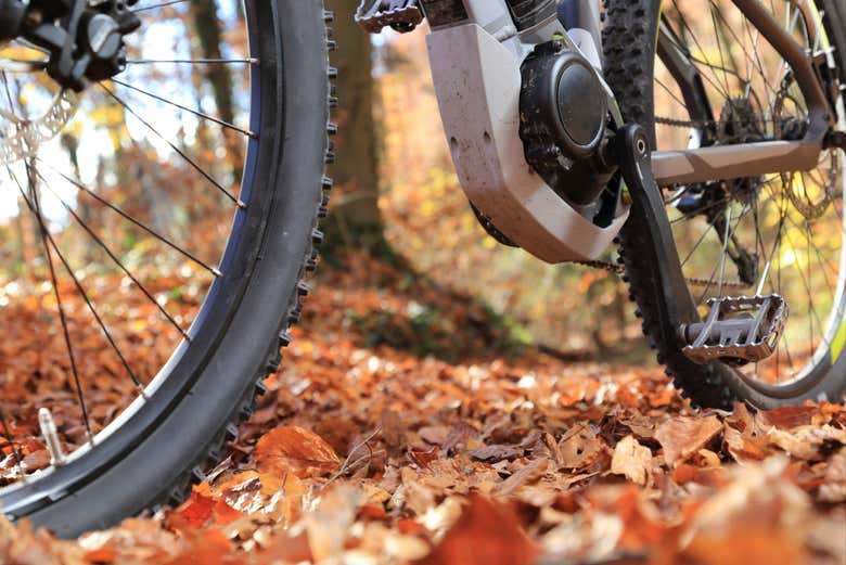 Bicicleta eléctrica