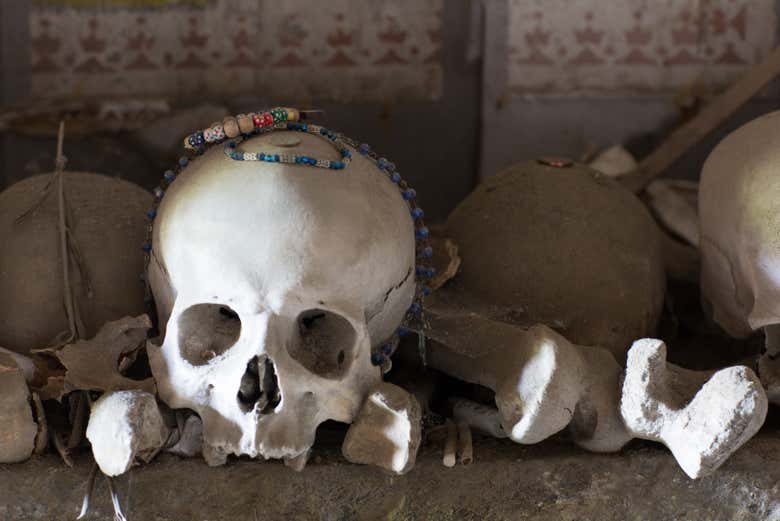 Restos de cráneos humanos