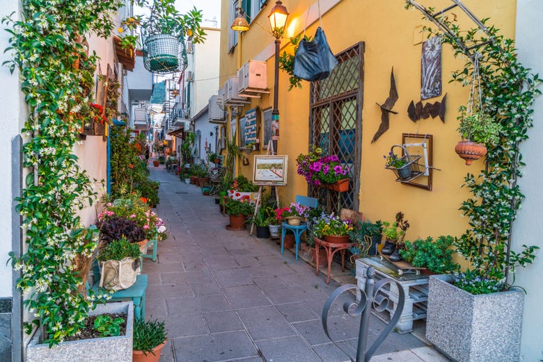 Colourful houses of Ischia