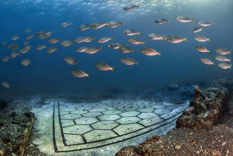 Swim with the marine life on the seabed of the Gulf of Naples