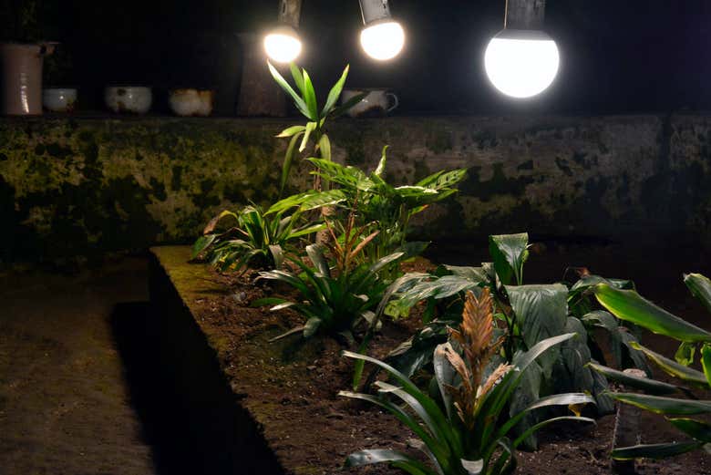 Visitando la Galleria Borbonica