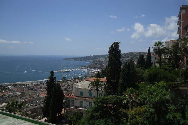 Disfrutando de las vistas