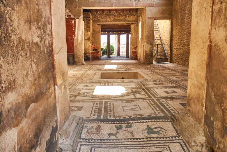See ancient mosaics