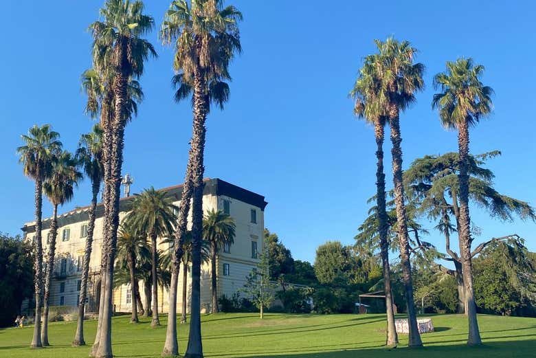 Vous visiterez également les jardins du musée de Capodimonte