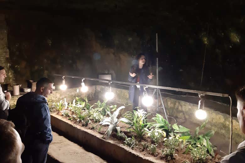What mysteries do the underground tunnels hide?