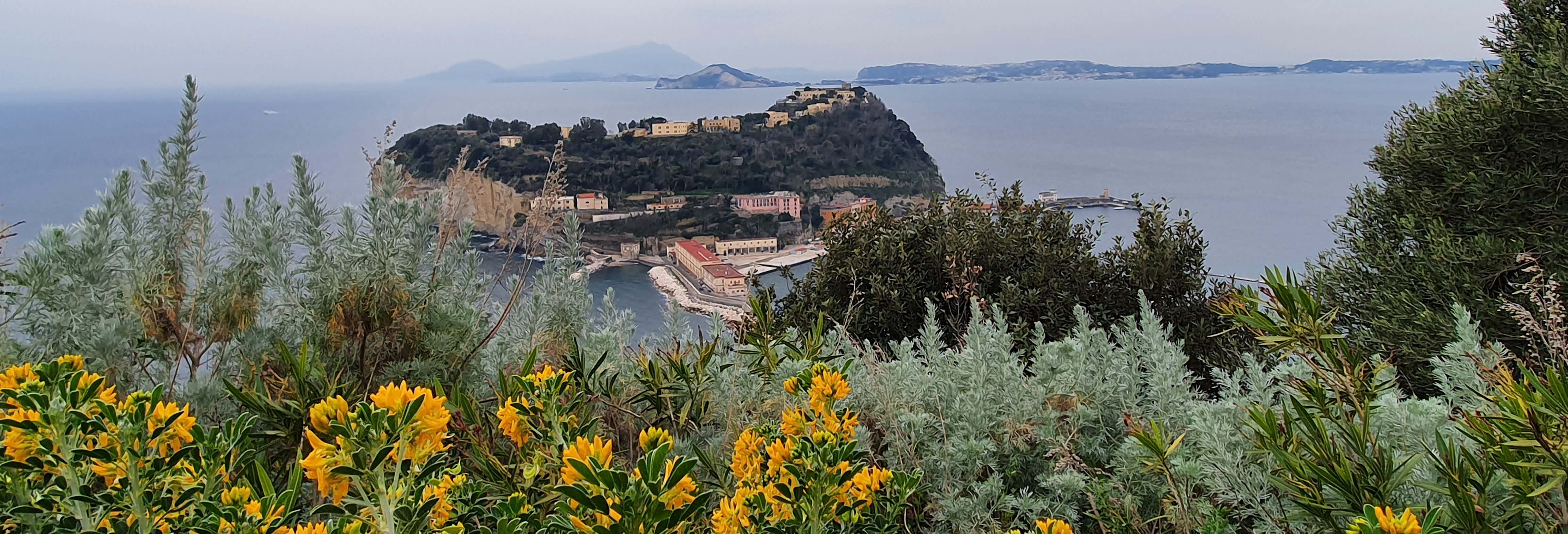 Paseos en barco en Nápoles