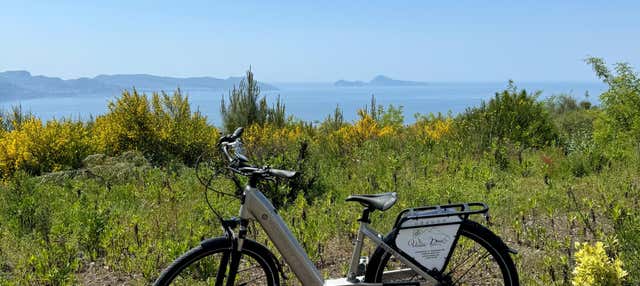 Tour en bicicleta eléctrica y senderismo por el Vesubio