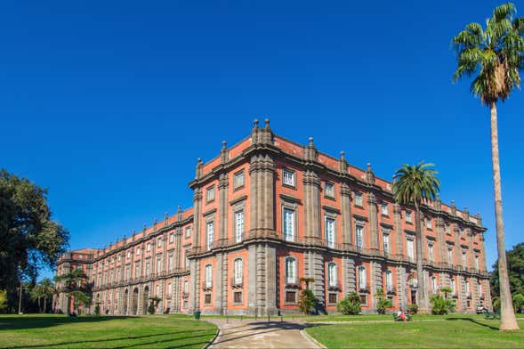 Tour privado pelo Museu de Capodimonte