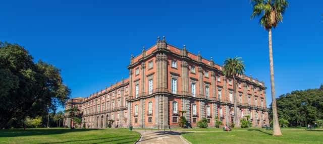 Tour privato del Museo di Capodimonte