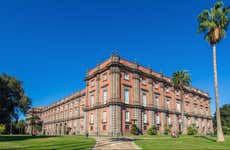 Private Tour of the Capodimonte Museum