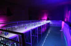 Visita guidata del Museo sotterraneo dell'Acqua