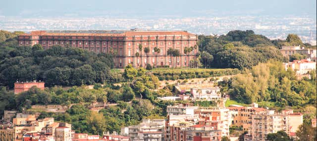 Museum of Capodimonte Guided Tour