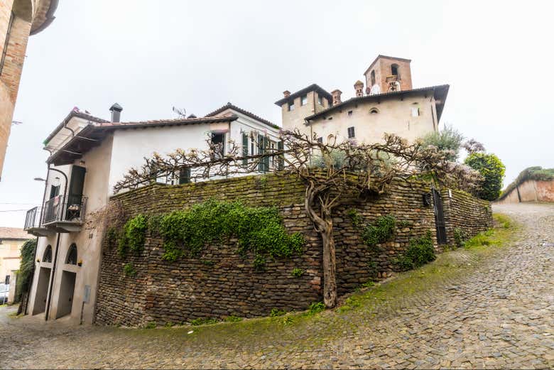 Marvel at the charming historical houses