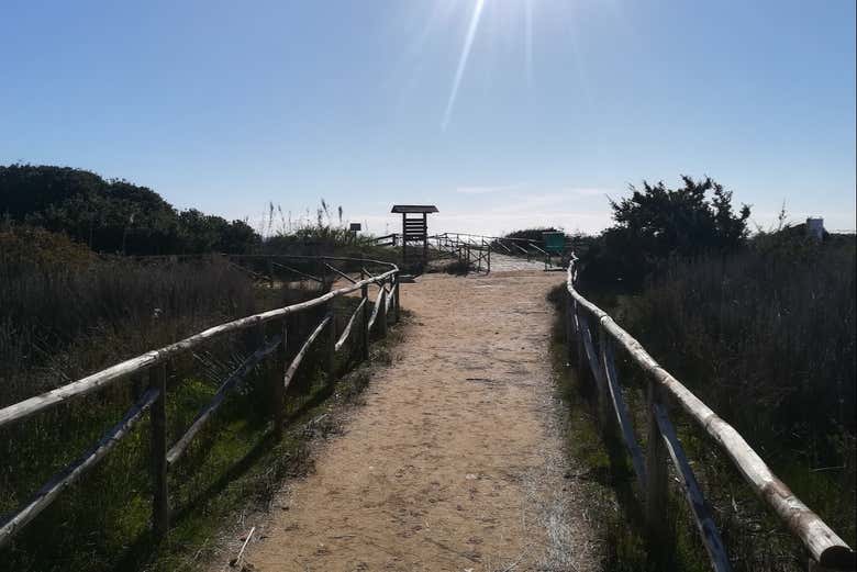 Disfrutando de la ruta de senderismo
