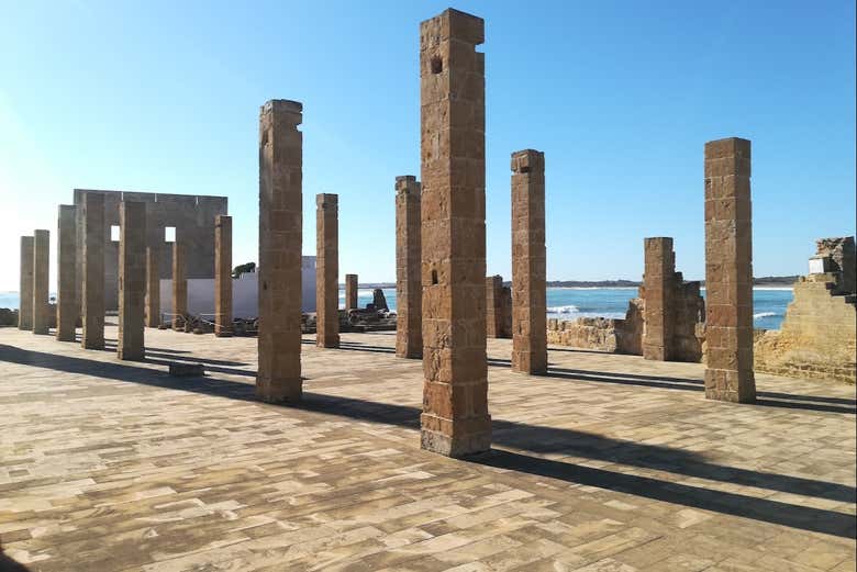 Descubriendo antiguas construcciones en la reserva