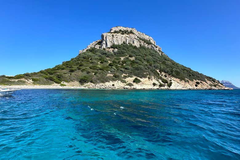 Acantilados de la isla de Figarolo
