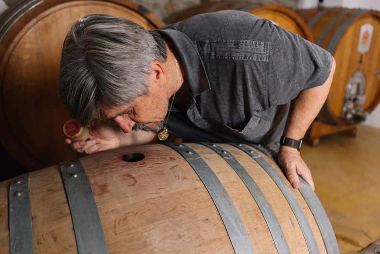 L'inebriante aroma del vino della Gallura
