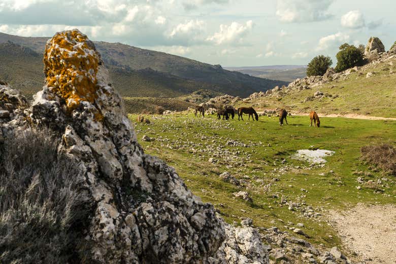 Paisajes de la región de Barbagia