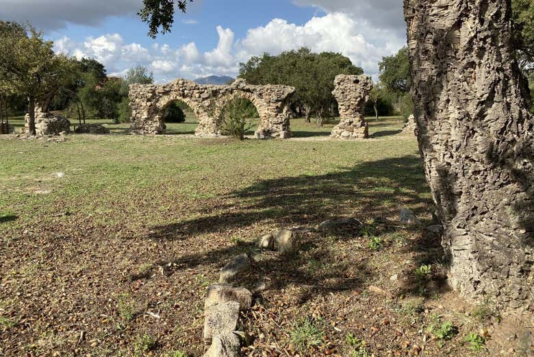 Ruinas romanas en Olbia