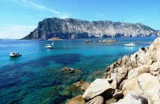 Snorkeling in the Tavolara Protected Marine Area