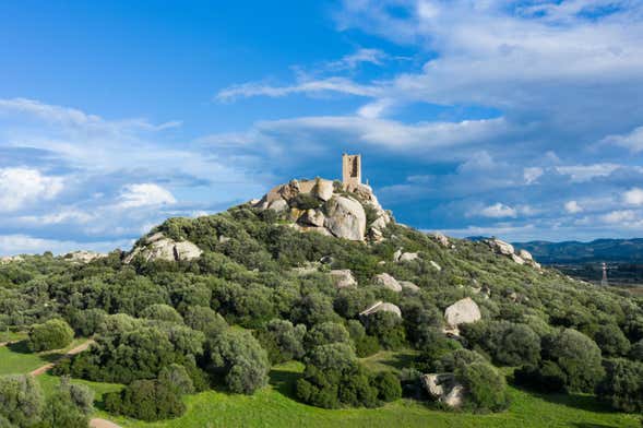Visite archéologique dans Olbia