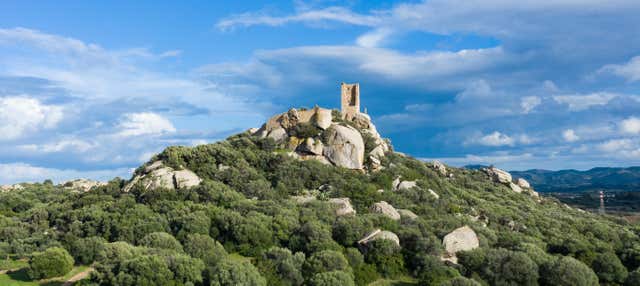 Tour arqueológico por Olbia