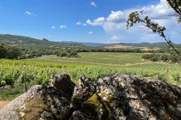 Visita alla cantina Locanda Murales con degustazione