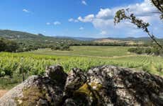 Visita alla cantina Locanda Murales con degustazione