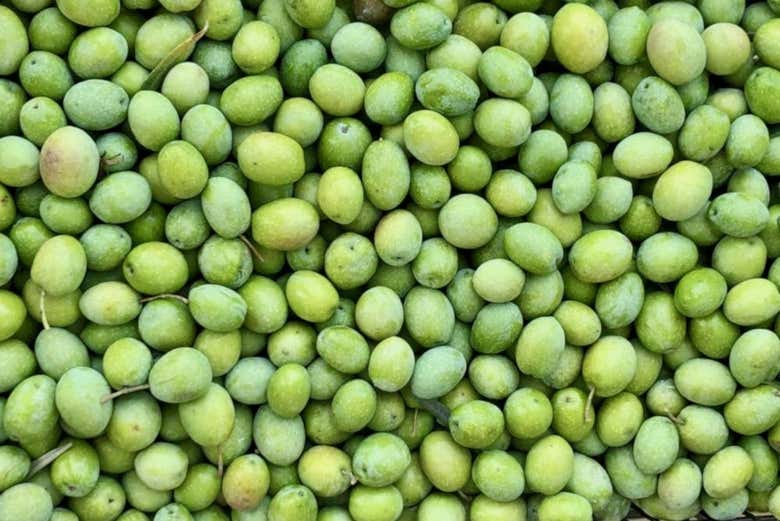 Olives fraîches de l'olivier