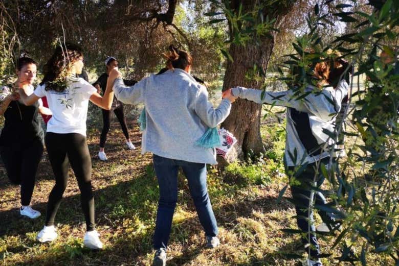 Dansez autour d'un olivier