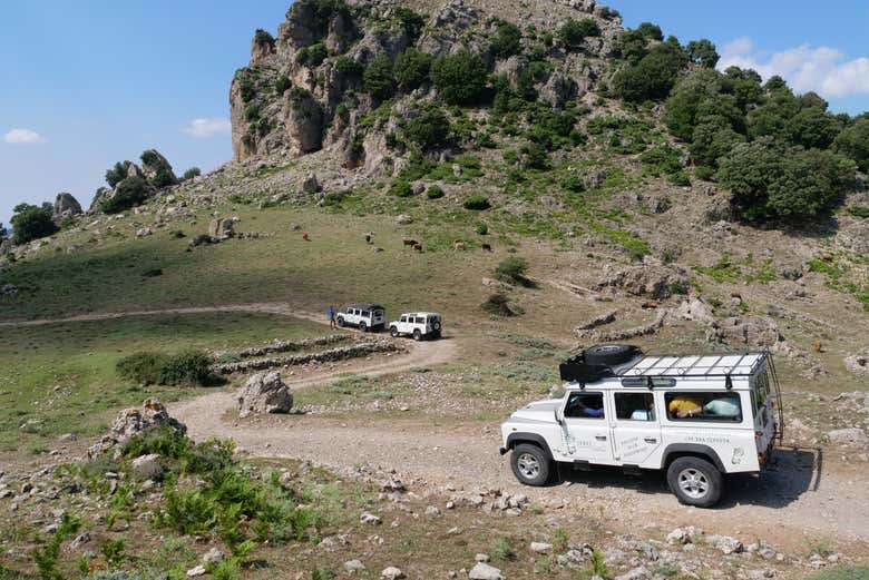 Excursion en 4x4 à Orgosolo