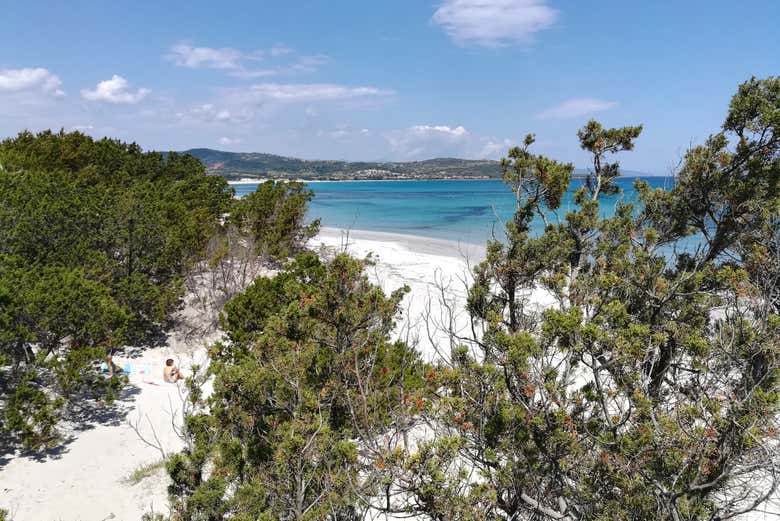 Panoramic view of the coast of Baronia