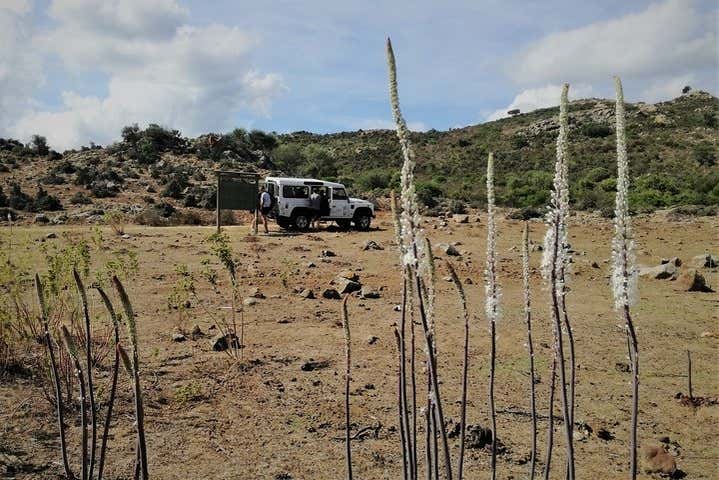 Recorriendo en 4x4 el golfo de Orosei