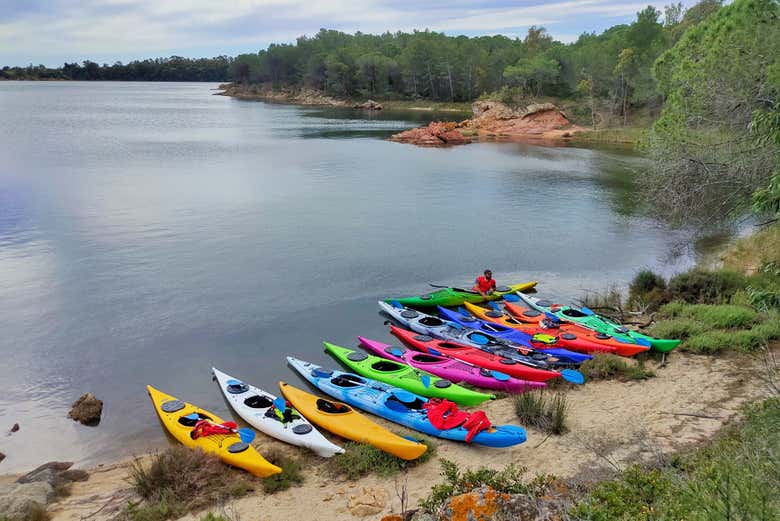 Kayaks de vivos colores
