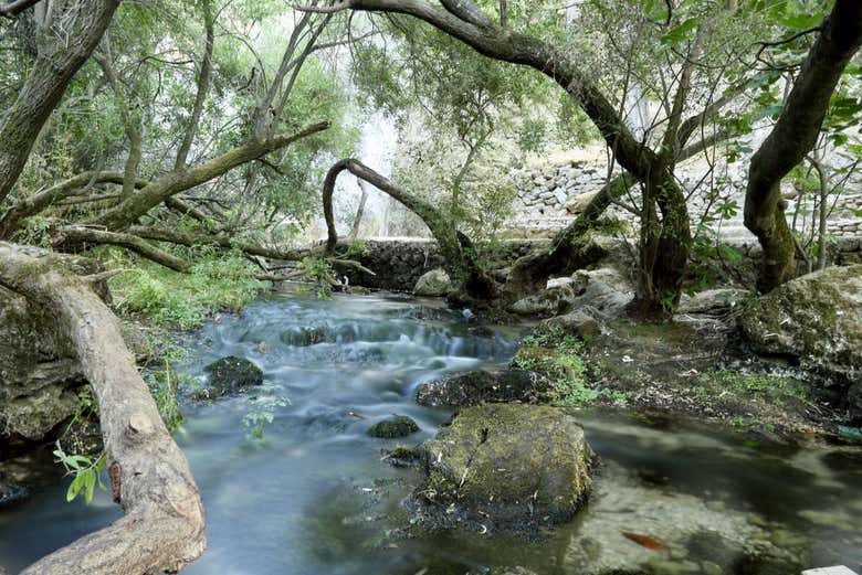 Paysages de Su Gologone