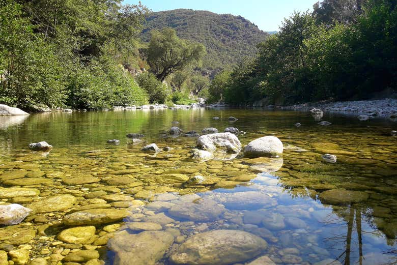 Natura sarda
