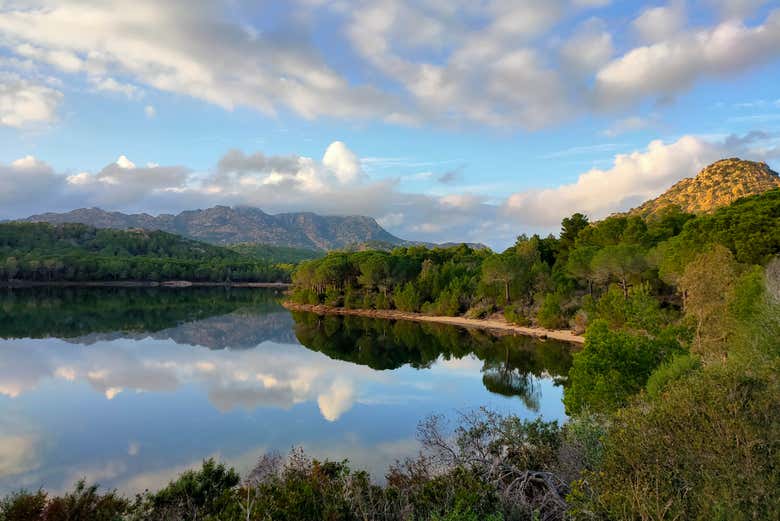 Panorámica del oasis de Bidderosa