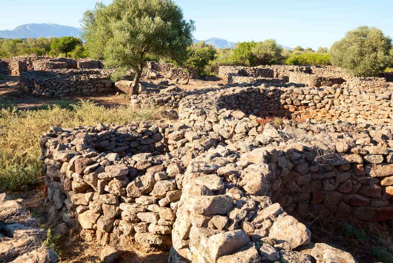 Visita guiada por Serra Orrios