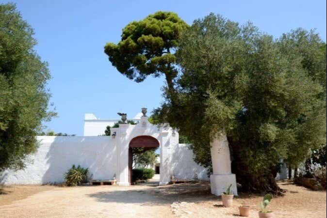Billet pour la masseria