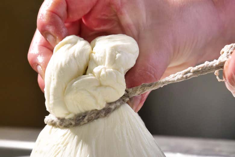 Visitez la fabrique de mozzarella